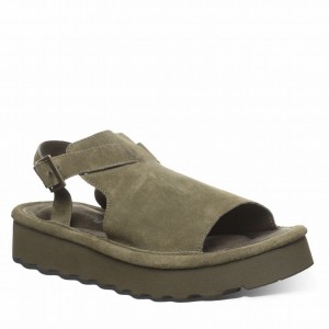 Bearpaw Ascend Donna Sandali Verdi | GHN308YC