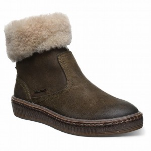 Bearpaw Leticia Donna Stivali Verdi | YPC172NI