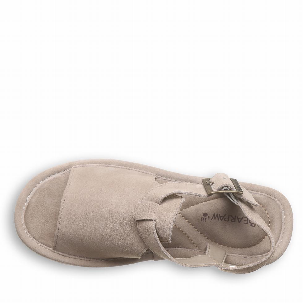 Bearpaw Ascend Donna Sandali Grigie | NXK984QV