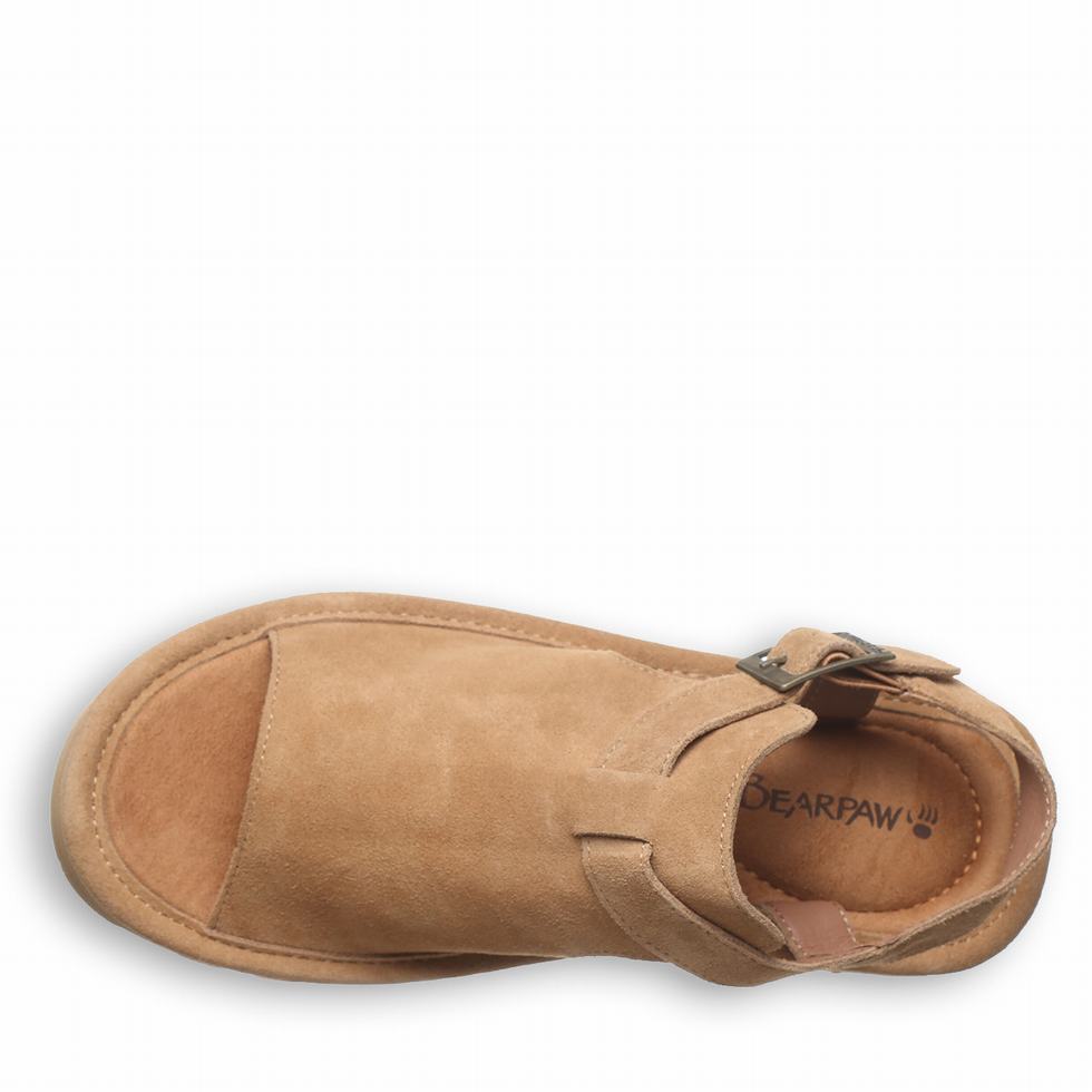 Bearpaw Ascend Donna Sandali Marroni | SFN6594VO