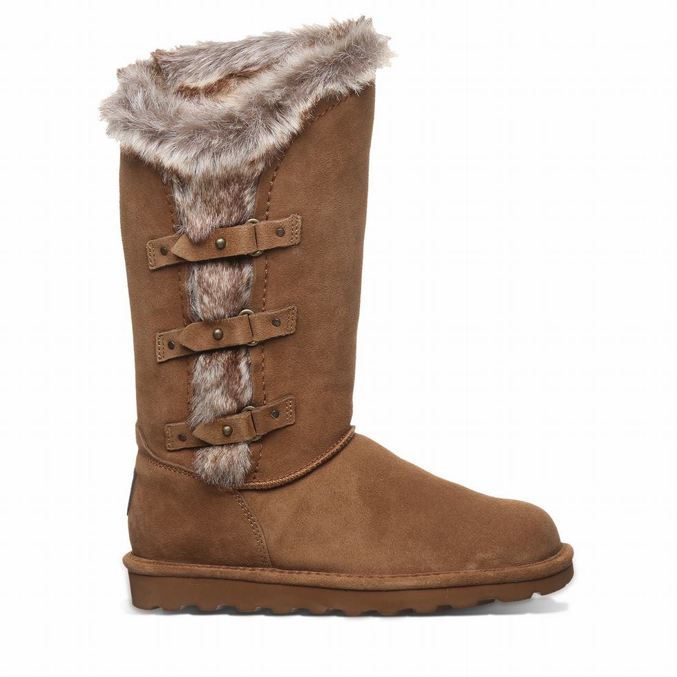 Bearpaw Emery Donna Stivali Marroni | PAN3724DK