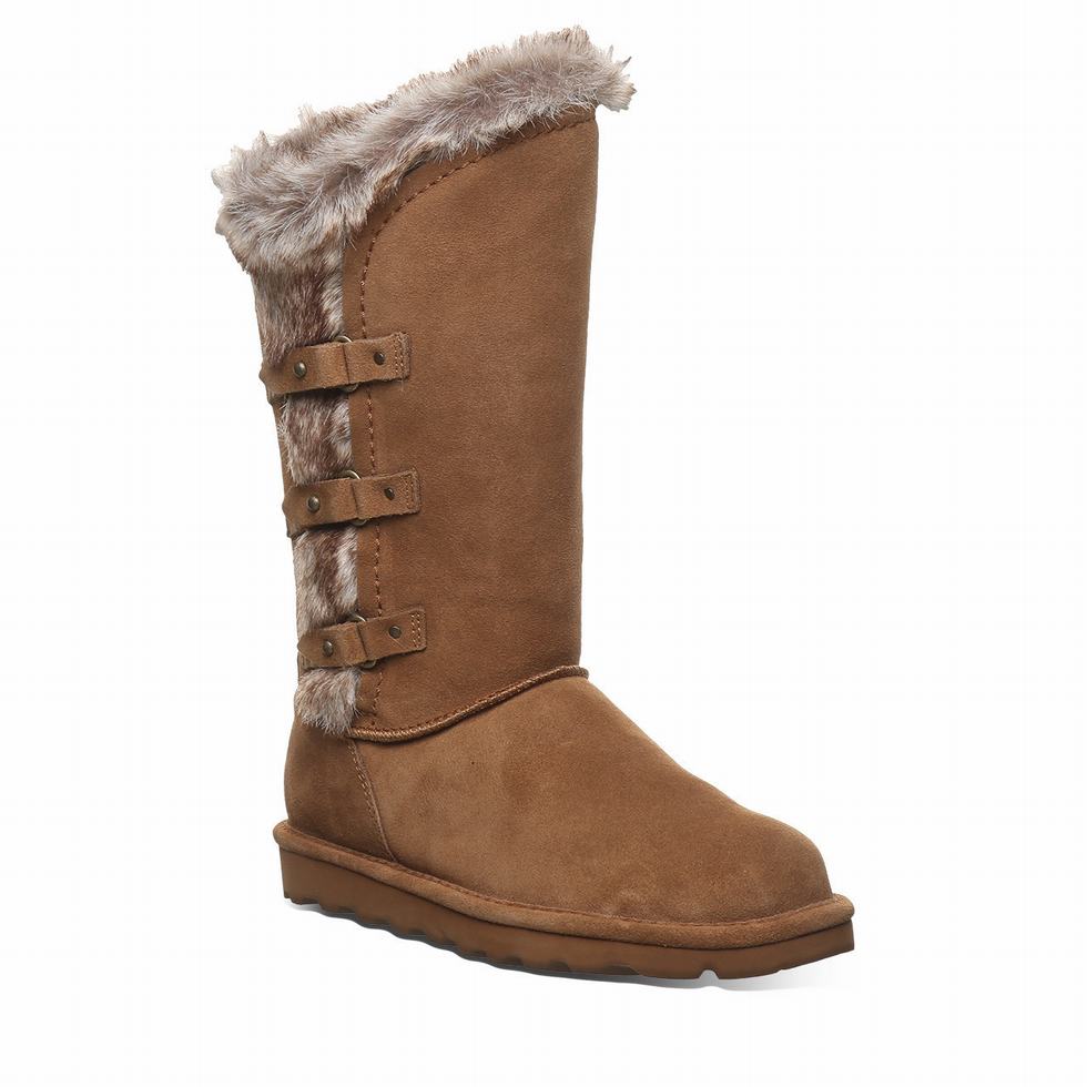 Bearpaw Emery Donna Stivali Marroni | PAN3724DK