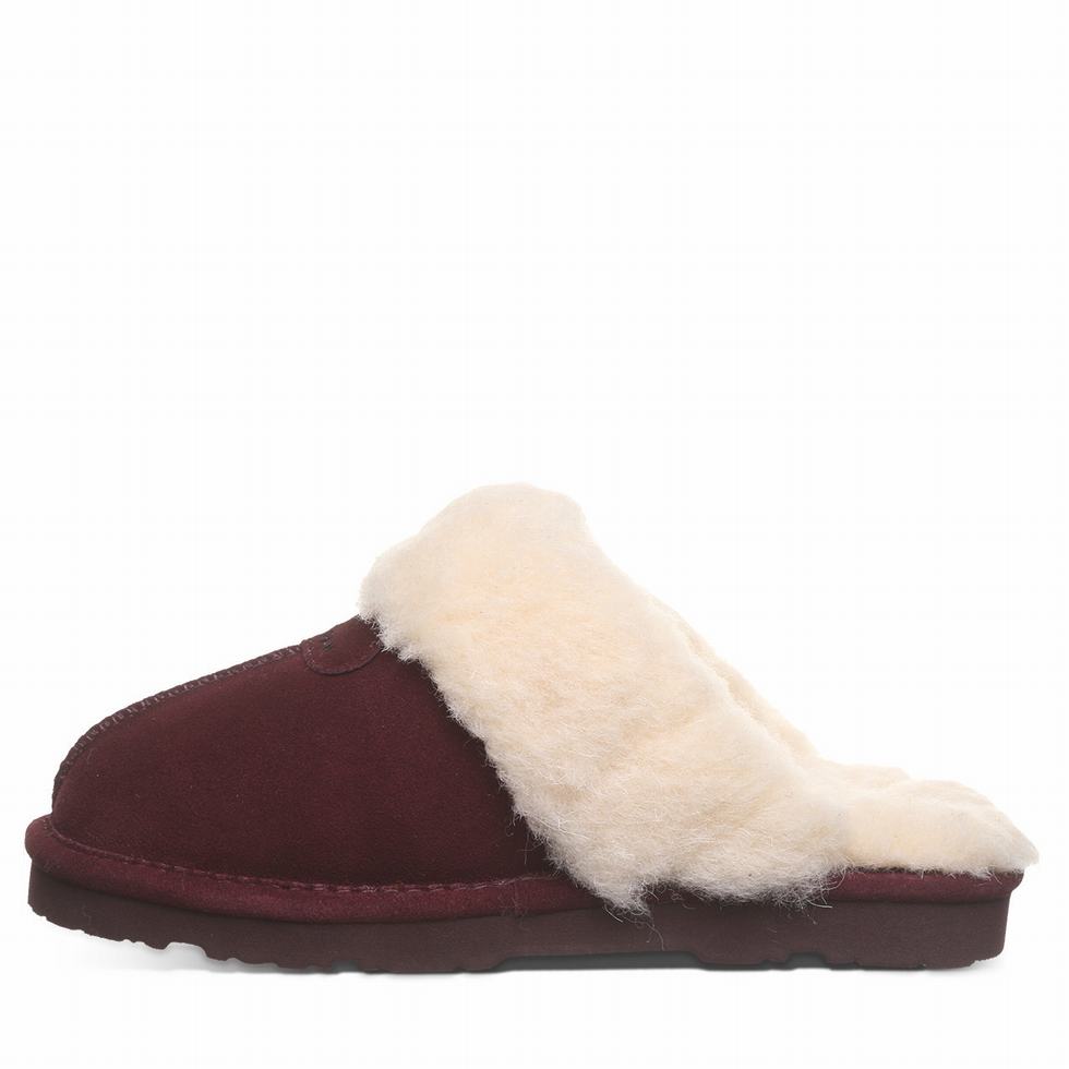 Bearpaw Loki II Donna Pantofole Viola | CSA7136TZ