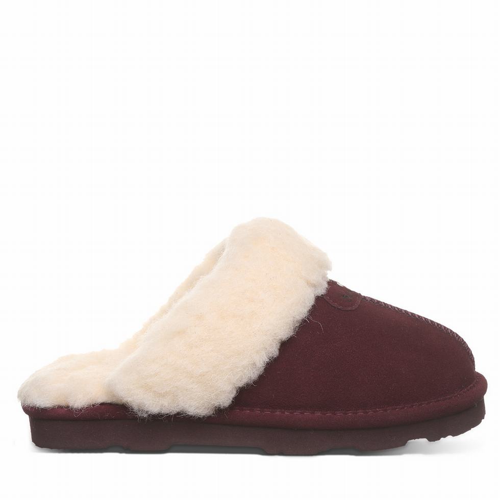 Bearpaw Loki II Donna Pantofole Viola | CSA7136TZ