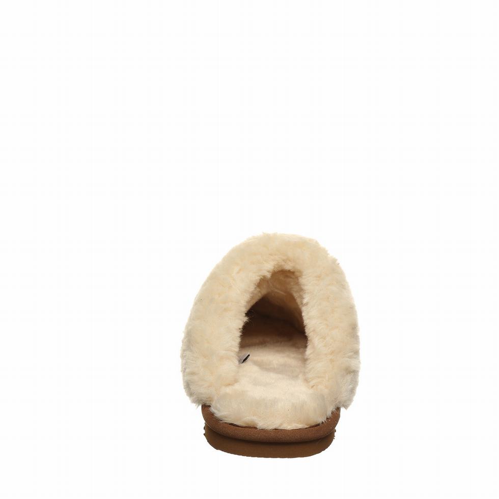 Bearpaw Loki Vegan Donna Pantofole Marroni | KTH1337IB