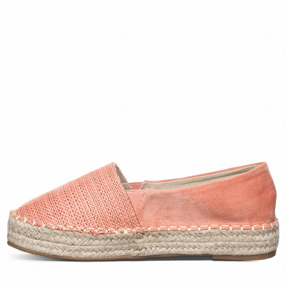 Bearpaw Macchiato Donna Espadrillas Rosa | VFA842AW