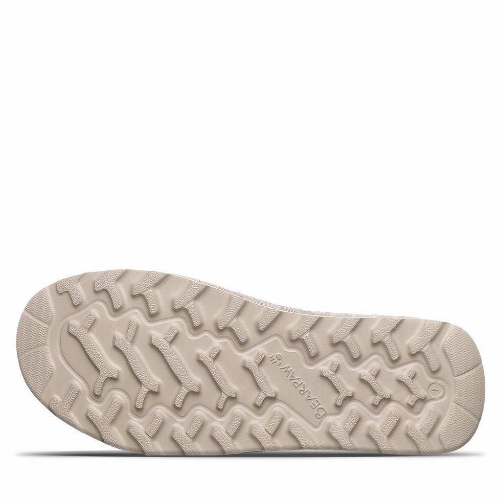 Bearpaw Prominence Donna Sandali Marroni | NZB1684VB