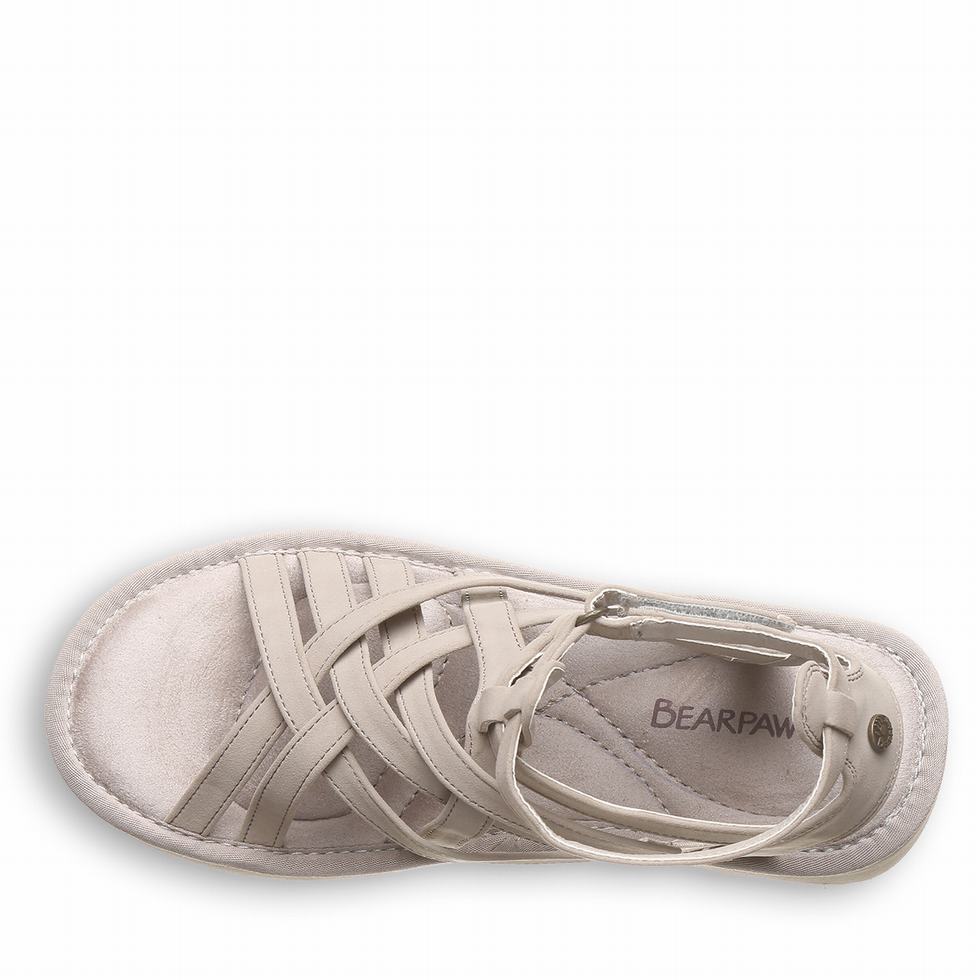 Bearpaw Prominence Donna Sandali Marroni | NZB1684VB