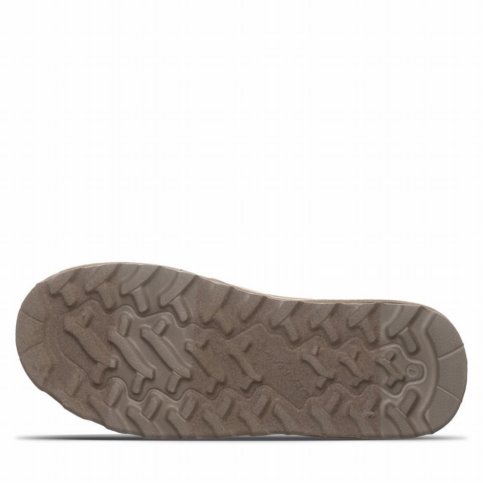 Bearpaw Shorty Vegan Donna Stivali Grigie | EUM7985II