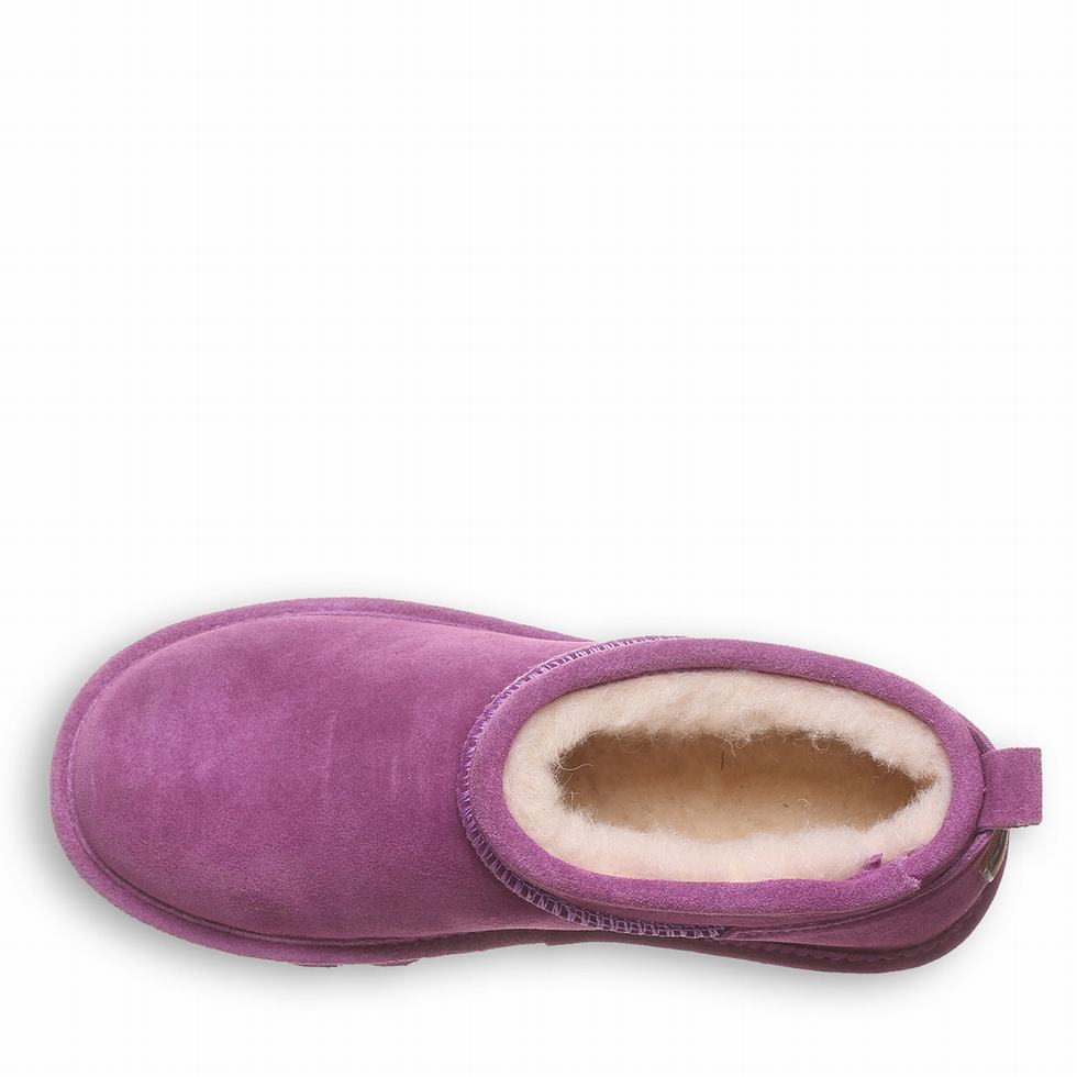 Bearpaw Super Shorty Donna Doposci Viola | XPZ799RK