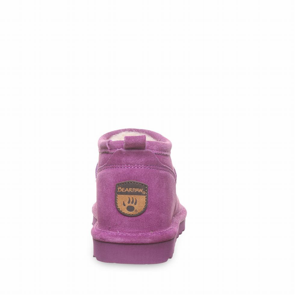 Bearpaw Super Shorty Donna Doposci Viola | XPZ799RK