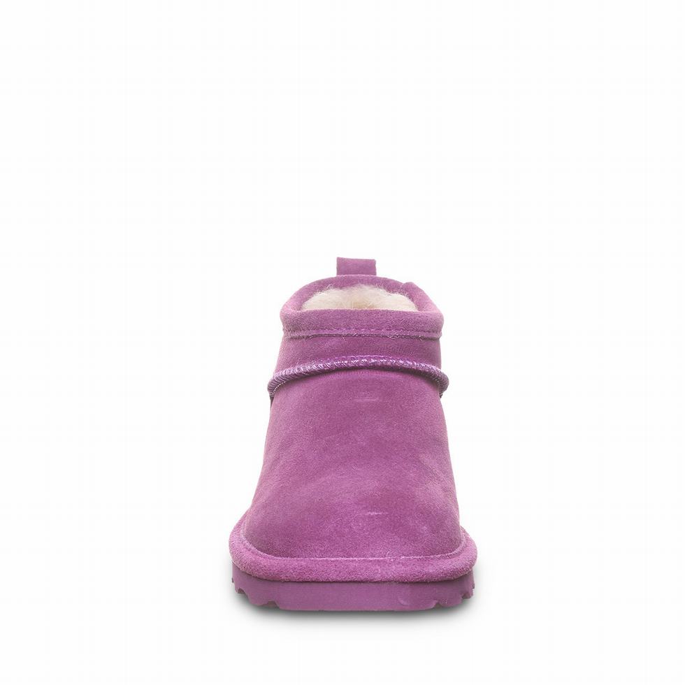 Bearpaw Super Shorty Donna Doposci Viola | XPZ799RK