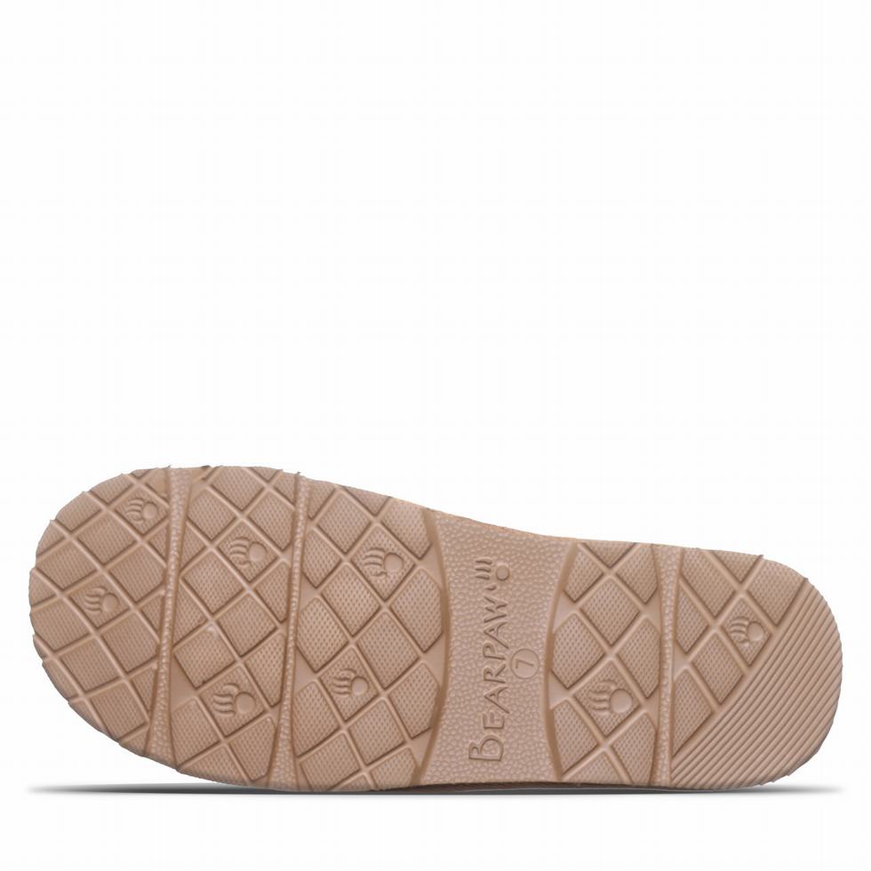 Bearpaw Tabitha Donna Pantofole Marroni | OZE7615WY